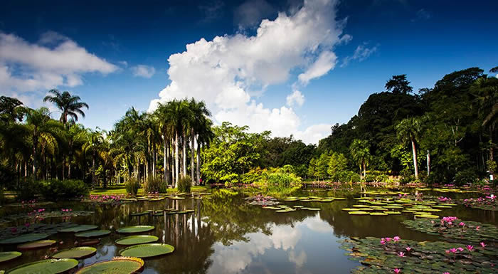 勐仑植物园